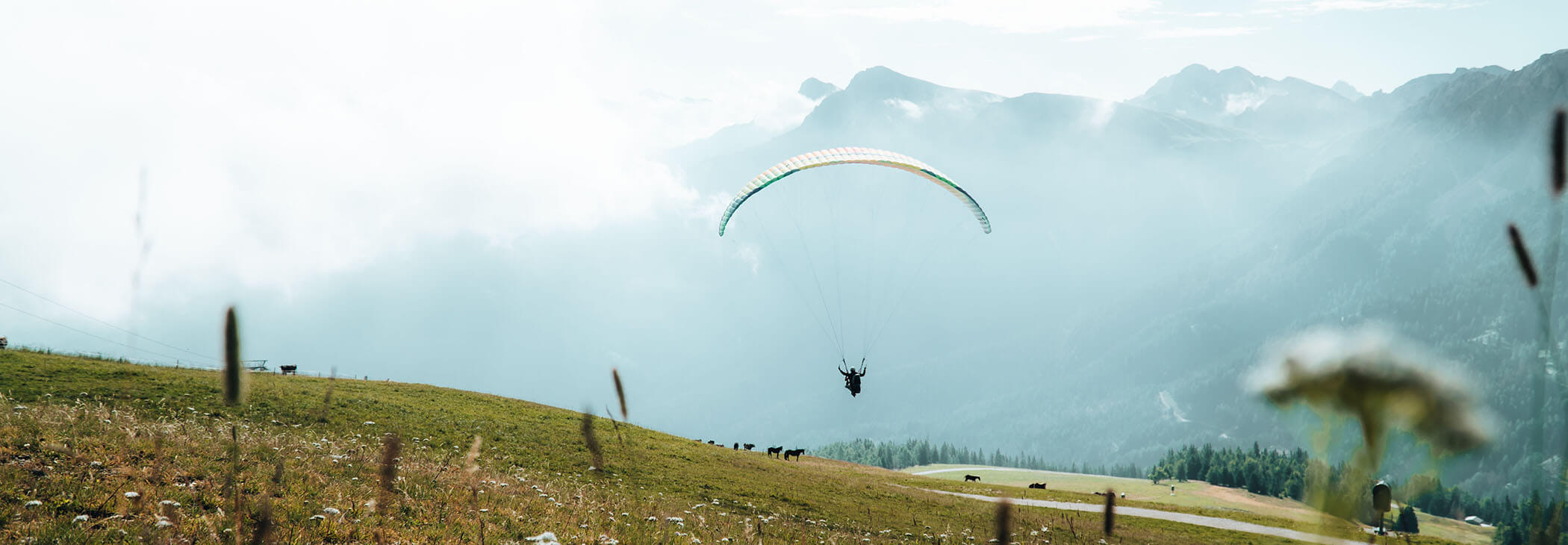 Plan de Corones & Terento adventure region - horizontal format - Hotel Terentnerhof