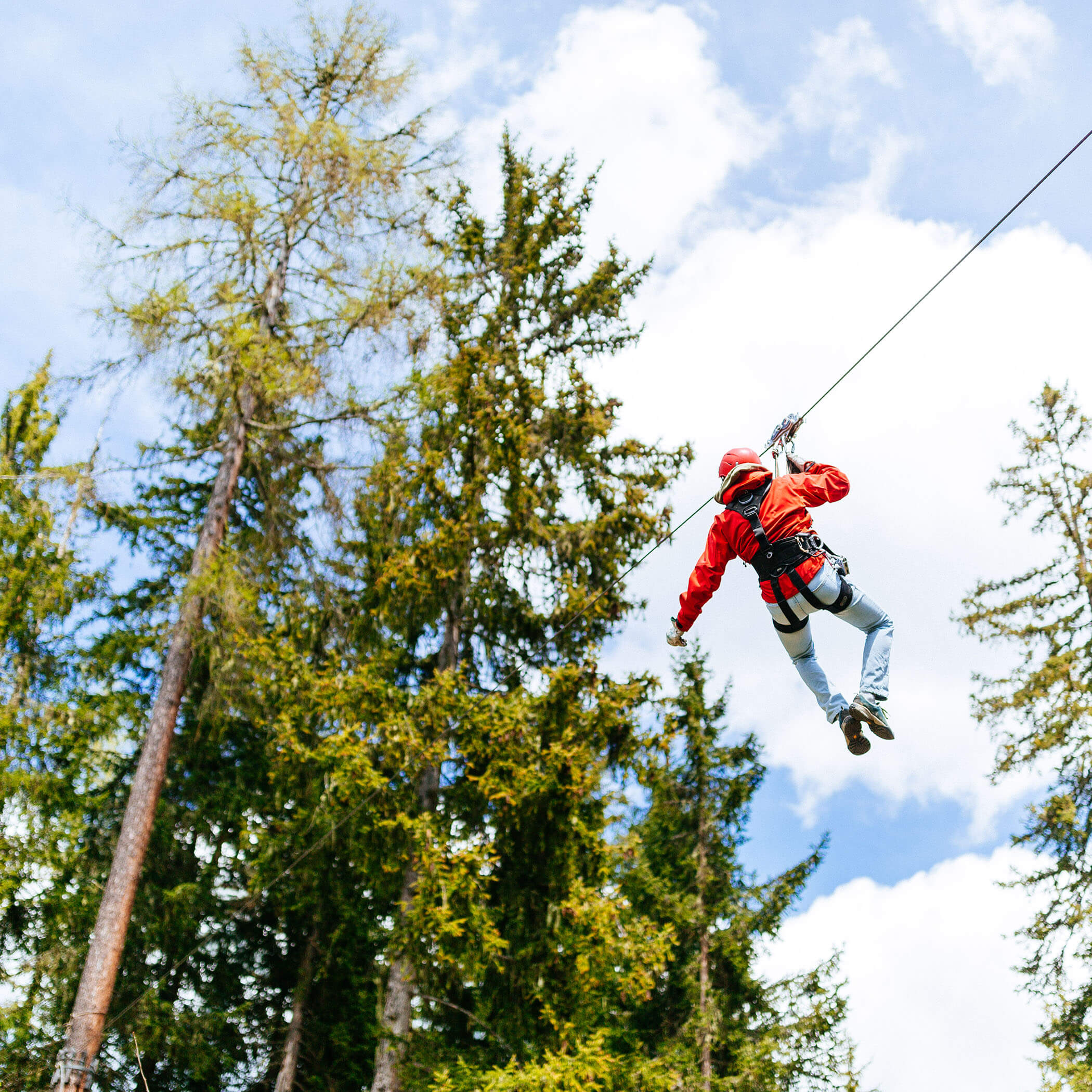 Zipline - Plan de Corones Active - Hotel Terentnerhof
