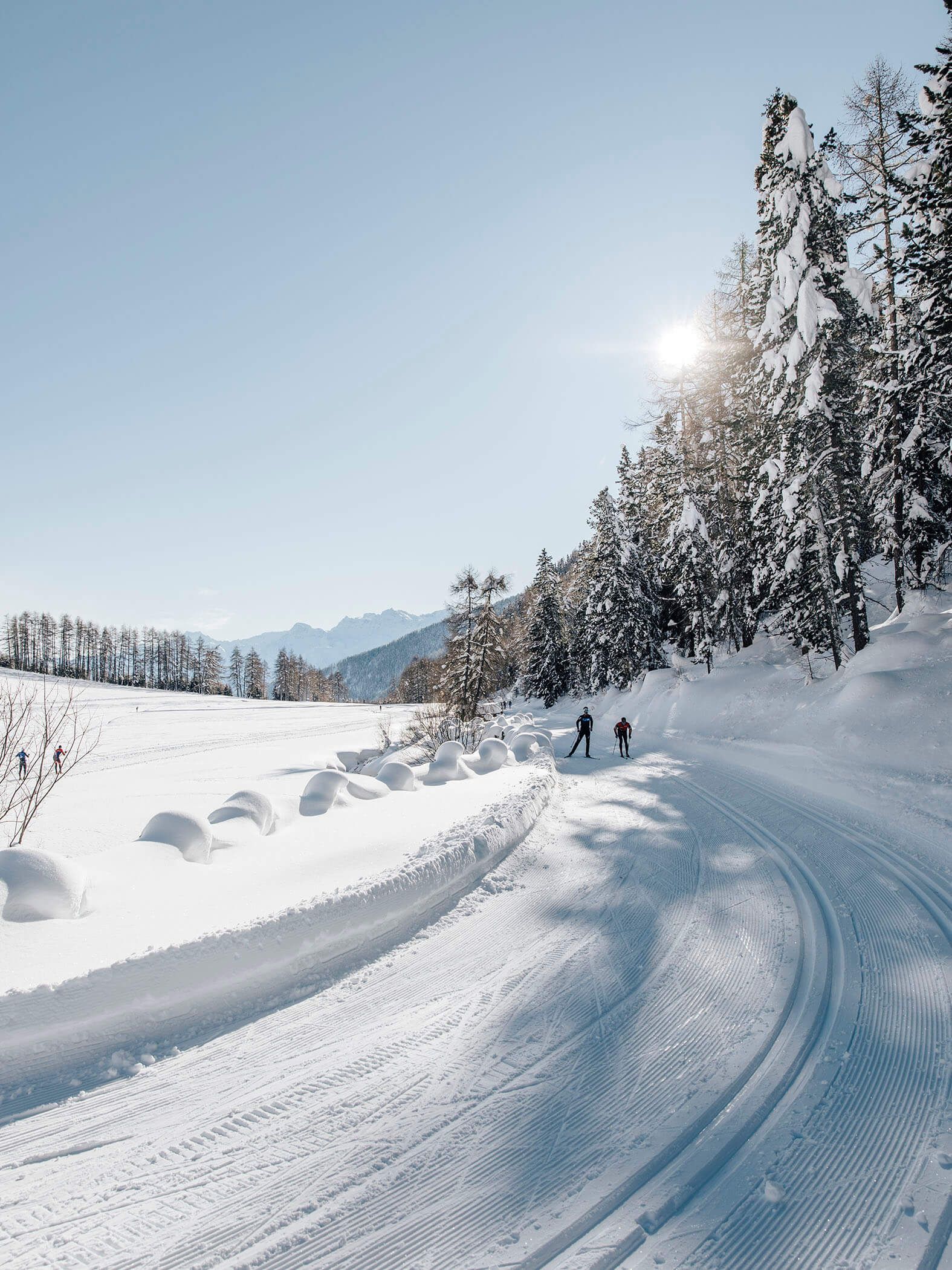Cross-country skiing vacation in winter - Hotel Terentnerhof