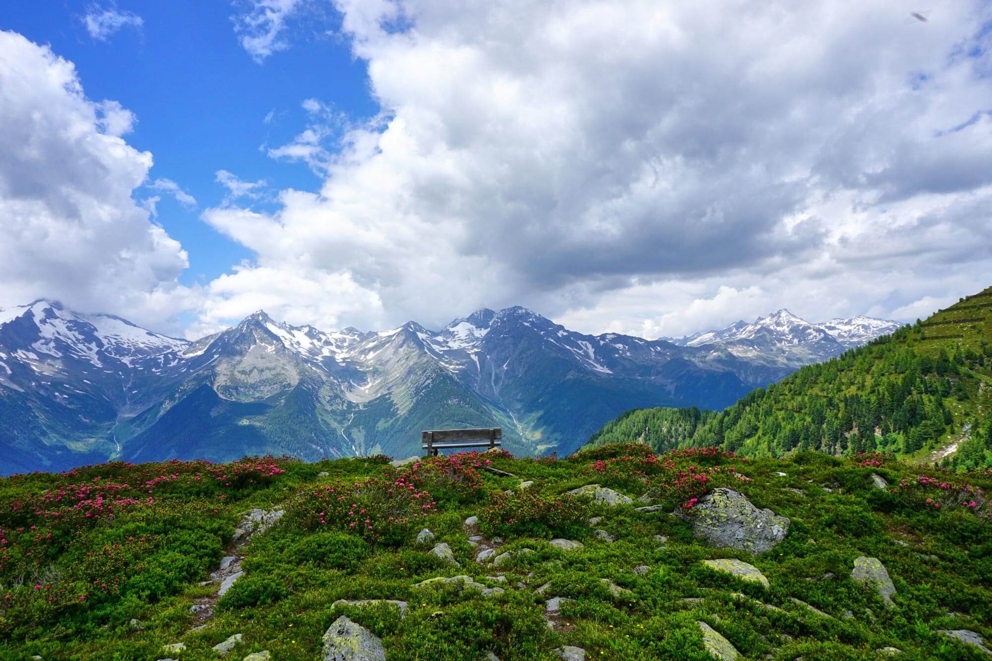 Alpenrosen - Klaussee - Hotel Terentnerhof