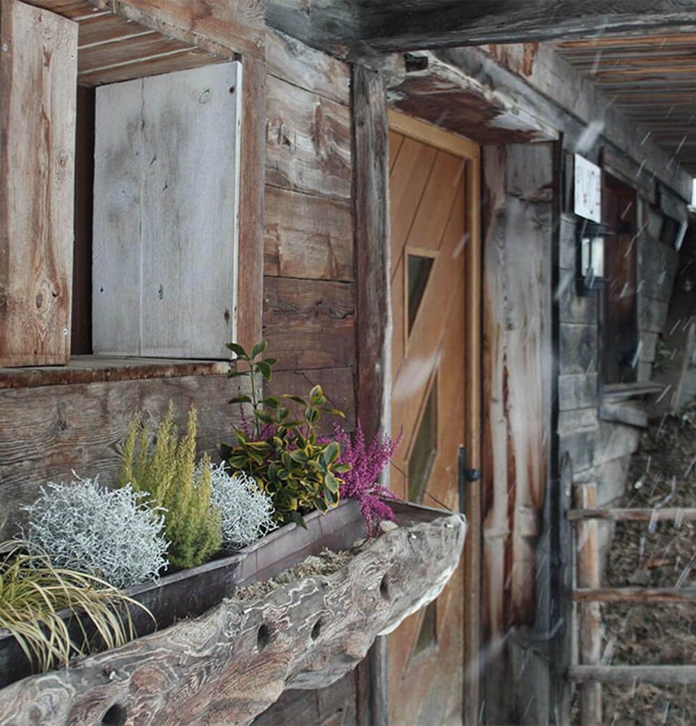Pertingeralm - Eingang - Hotel Terentnerhof