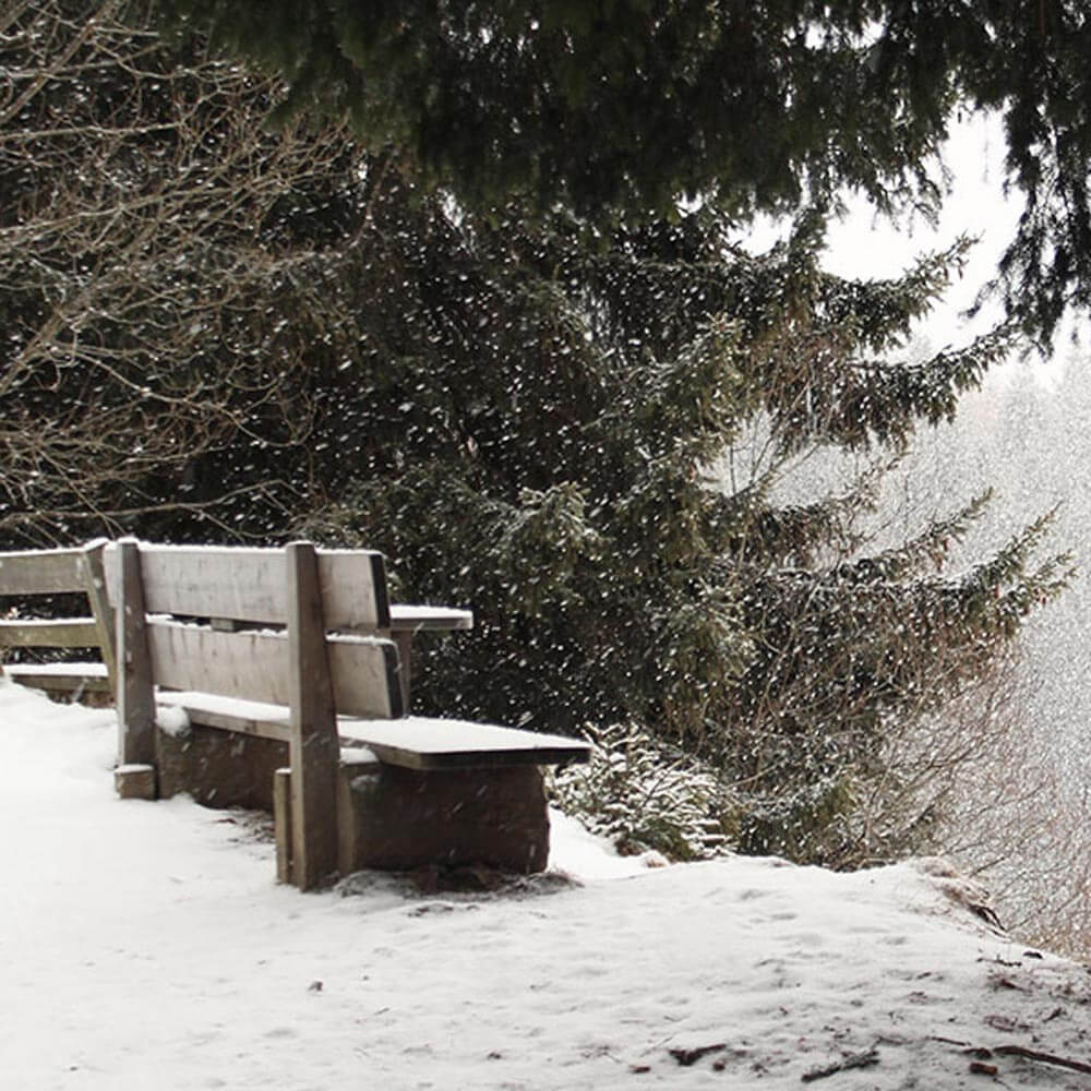 Schnee fällt auf dem Wanderweg zur Pertinger Alm - Hotel Terentnerhof