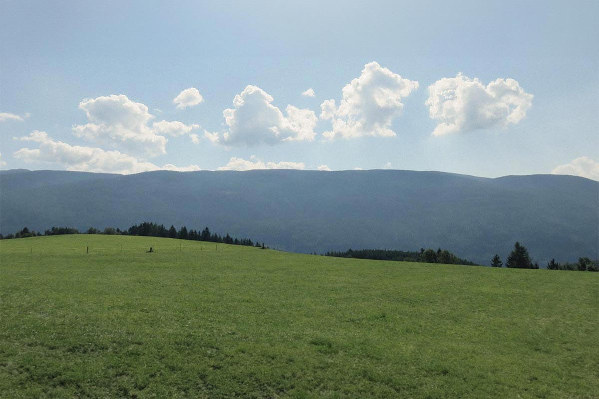 Landschaft im Sommer in Terenten - Hotel Terentnerhof