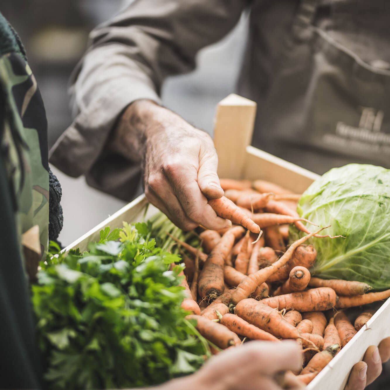 Regional cuisine in South Tyrol - Detail view of vegetables - Hotel Terentnerhof