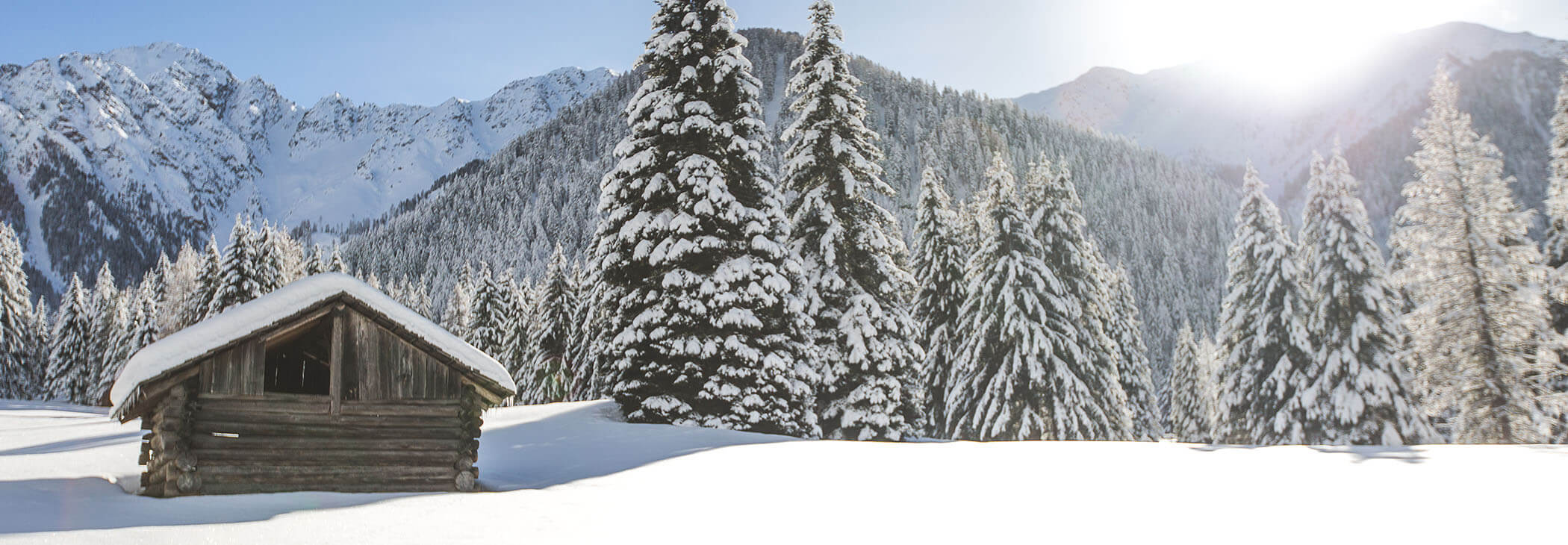 White winter landscape with wooden hut & forest in the background - horizontal format - Hotel Terentnerhof